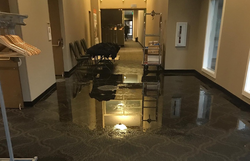 water removal professionals at work in Arvada